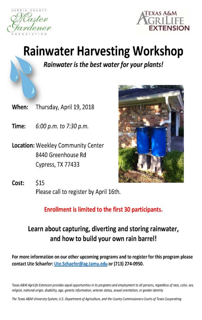 Join us on Thursday April 19th from 6pm for an hour and a half to learn about capturing, diverting and storing rainwater, and how to build your own rain barrel. Cost is $15 at the Weekly Community Center at 8440 Greenhouse Rd. Cypress, Tx 77433. Please register by April 15th by calling Ute Schaefer at 713-274-0950.