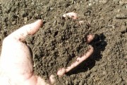 Soil Icon
