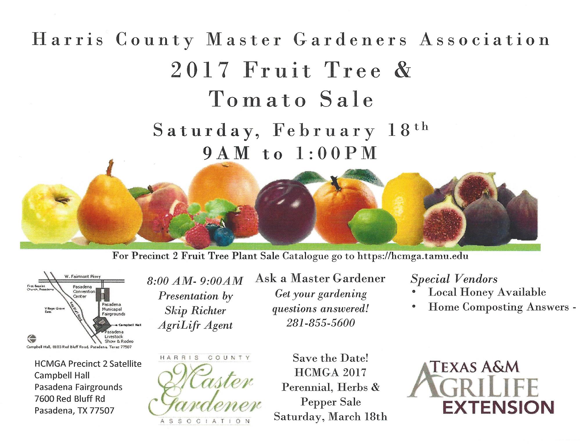 Harris County Master Gardeners in Precinct 2 are having their annual Fruit Tree and Tomato Sale on Saturday February 18th from 9 AM to 1 PM.  There will be a presentation from 8-9 before the sale.  Please call 281-855-5600 to have any gardening questions or questions about the sale answered.  Sale is located at the Pasadena Fairgrounds  7600 Red Bluff Rd.  Pasadena, TX 77507