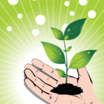 Growing Plant in your hand