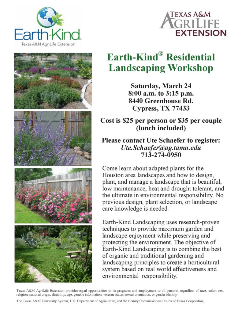 Come and join us March 24th from 8-3:15 at 8440 Greenhouse Rd. Cypress Tx 77433 to learn about adapted plants for the Houston area. Learn how to design, plant, and manage a landscape that is beautiful, low maintenance, heat & drought tolerant, & the ultimate in environmental responsibility. No previous knowledge needed! Please contact Ute Schaefer at 713-274-0950 to register. Cost is $25 per person or $35 per couple (lunch included).
