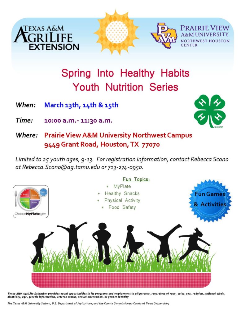 This series is for youth ages 9-13 years of age. They will learn about about My Plate, healthy snacks, fun physical activity and food safety. There will be fun games and activities during the 3 days of March 13-15 from 10-11:30 am located at 9449 Grant Rd Houston TX 77070. Space is limited so please register quickly by calling Rebecca Scono at 713-274-0950 or emailing her at rebecca.scono@ag.tamu.edu.