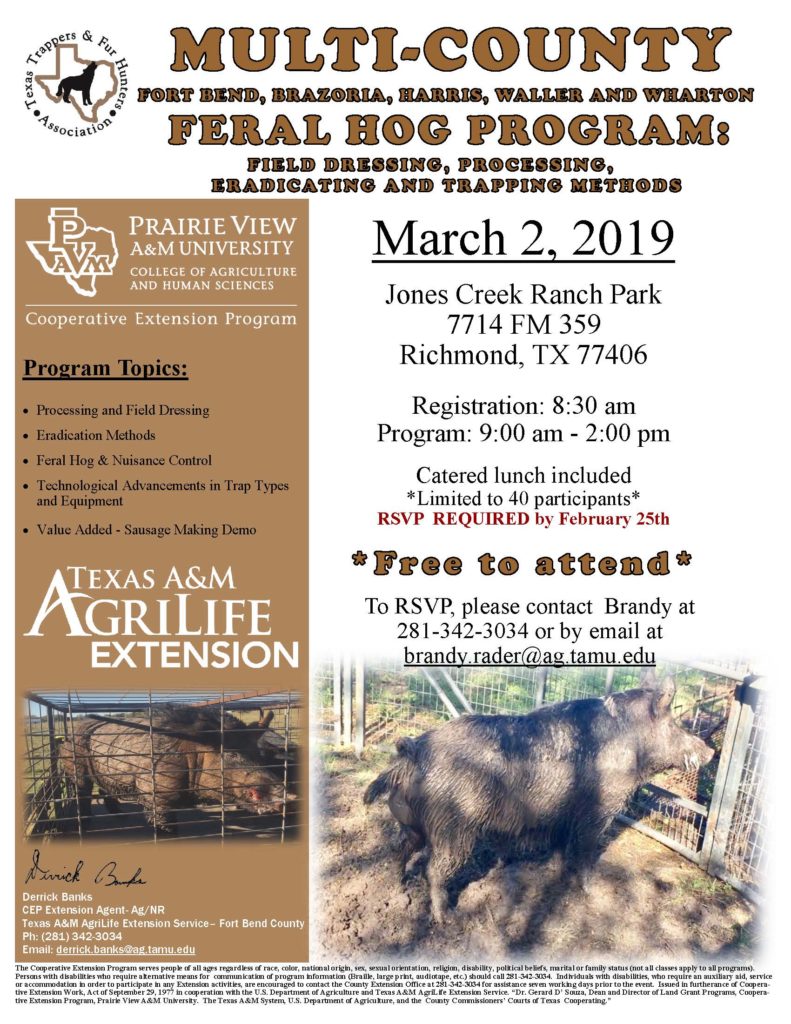 Join us for the Multi-County Feral Hog Program on March 2, 2019 at Jones Creek Ranch Park located at 7714 FM 359, Richmond, TX 77406. Registration starts at 8:30 am and the program is from 9 am to 2 pm. Lunch is catered. RSVP is required because the event is strictly limited to 40 participants. This event is free to attend. To RSVP, contact Brandy Rader at 281-342-3034 or by email at brandy.rader@ag.tamu.edu