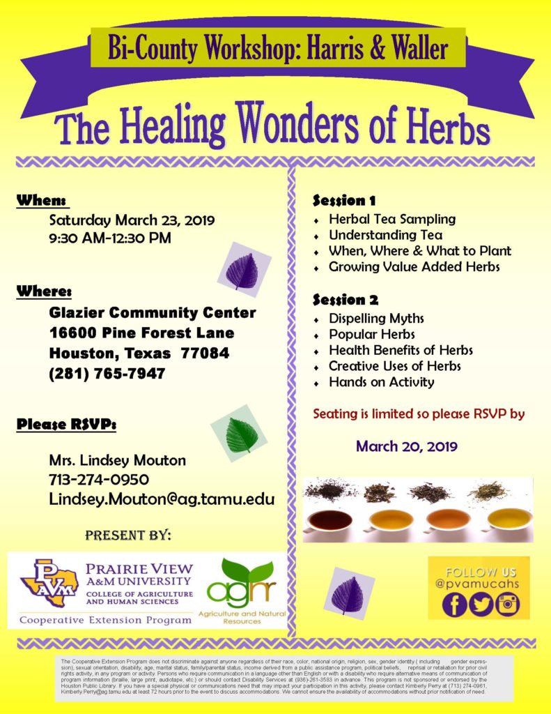 This is a 3 hour Bi-county workshop discussing many aspects of herbs. Within this introductory workshop we will discuss the topics of understanding tea, when, where and what to plant and the value of growing herbs. We will also be discussing popular herbs, the health benefits of herbs as well as the many creative uses for herb. There will be an herbal tea sampling. The majority of this presentation will be taught via Power Point, and there will be one hands on activity teaching participants how to plant herbs. Please RSVP by March 20th to Lindsey Mouton at 713-274-0950.