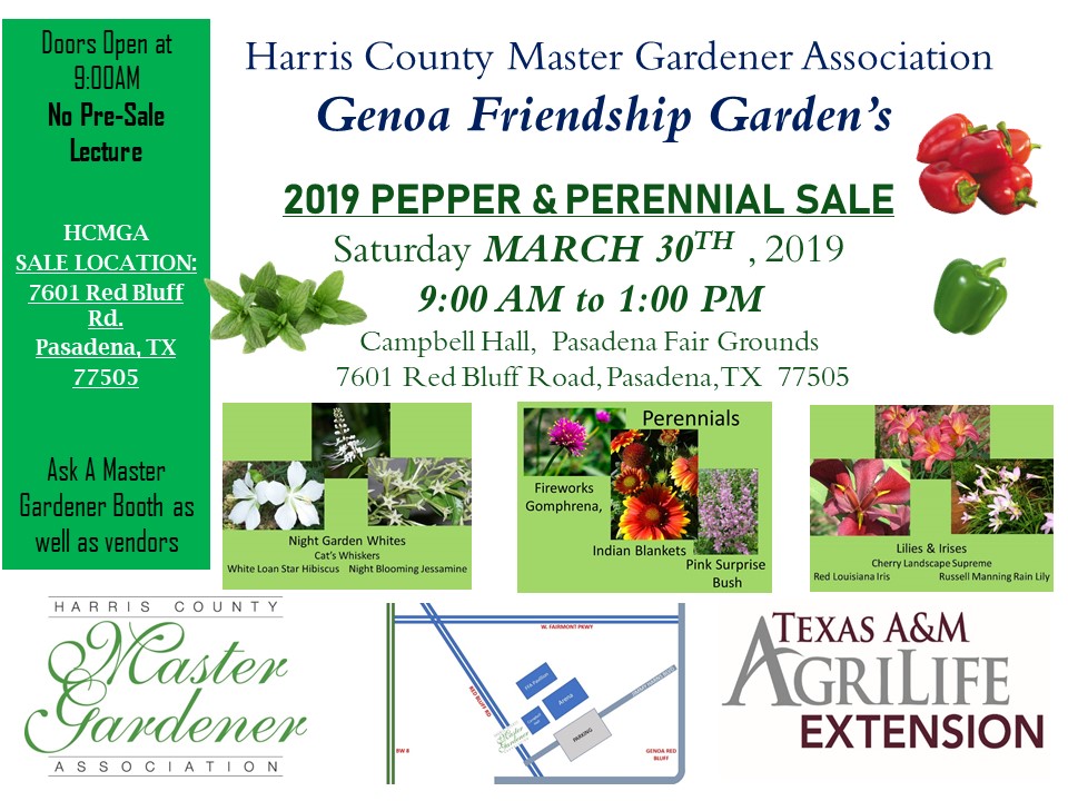 Come to the 2019 Pepper & Perennial plant sale on March 30th from 9-1pm. It will be located at the Campbell Hall on the Pasadena Fairgrounds at 7601 Red Bluff Rd, Pasadena, TX 77505. If you have any questions, please call Brandi Keller at 713-274-0950.