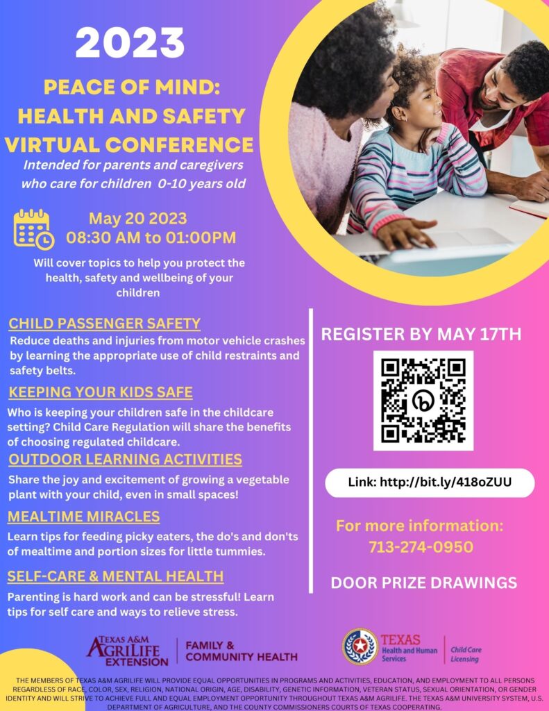 Peace of Mind: Health and Safety Virtual Conference Flyer