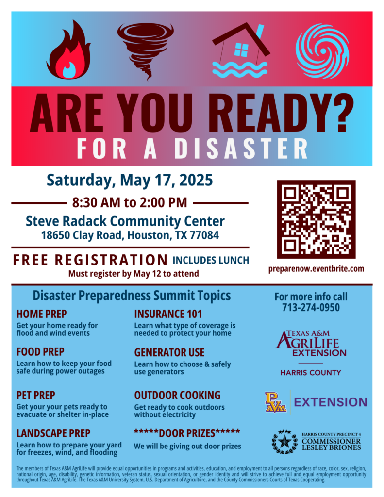 Flyer (Disaster Preparedness Summit (2025-05-17)