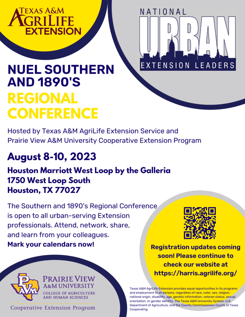 Flyer for NUEL Conference 2023