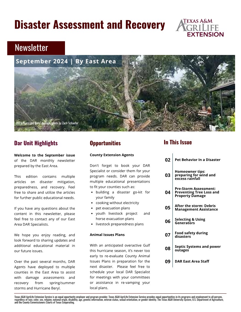 Cover Page of Disaster Assessment and Recovery September Newsletter